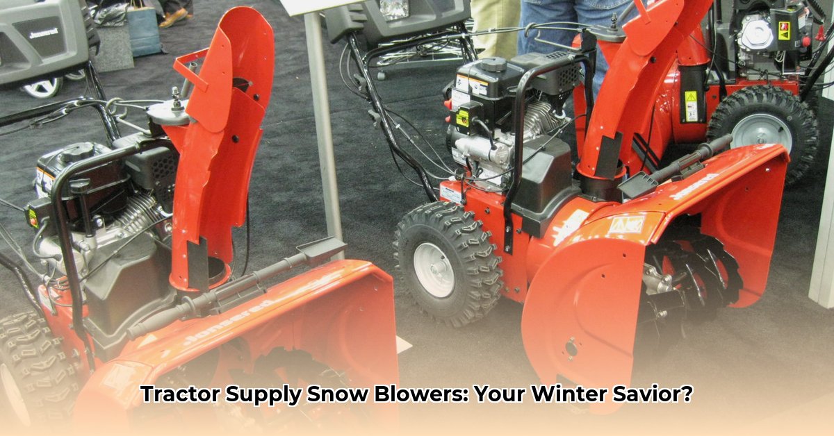 snow-blowers-tractor-supply